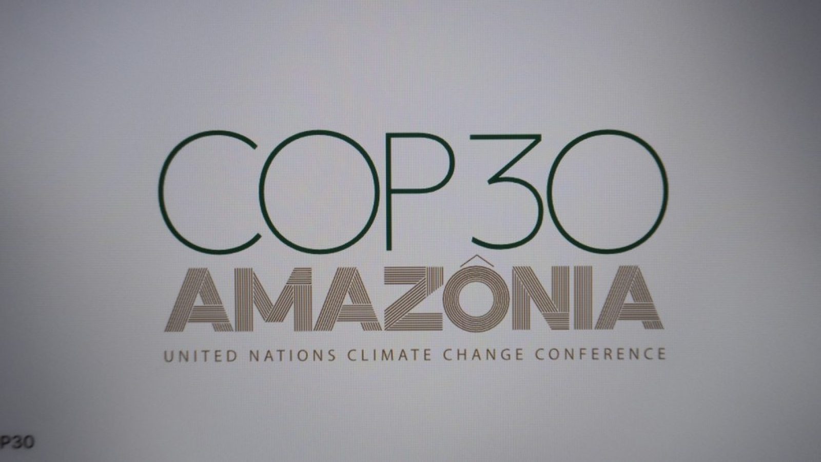 UK risks falling behind in race to net zero