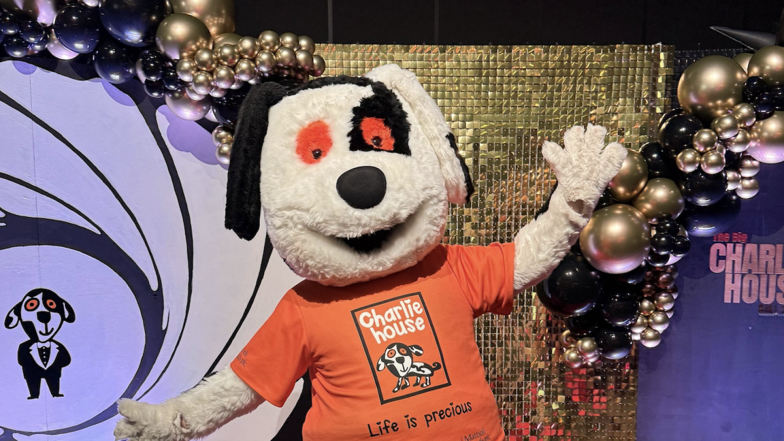 Final call for sponsor to step into the spotlight for charity ball