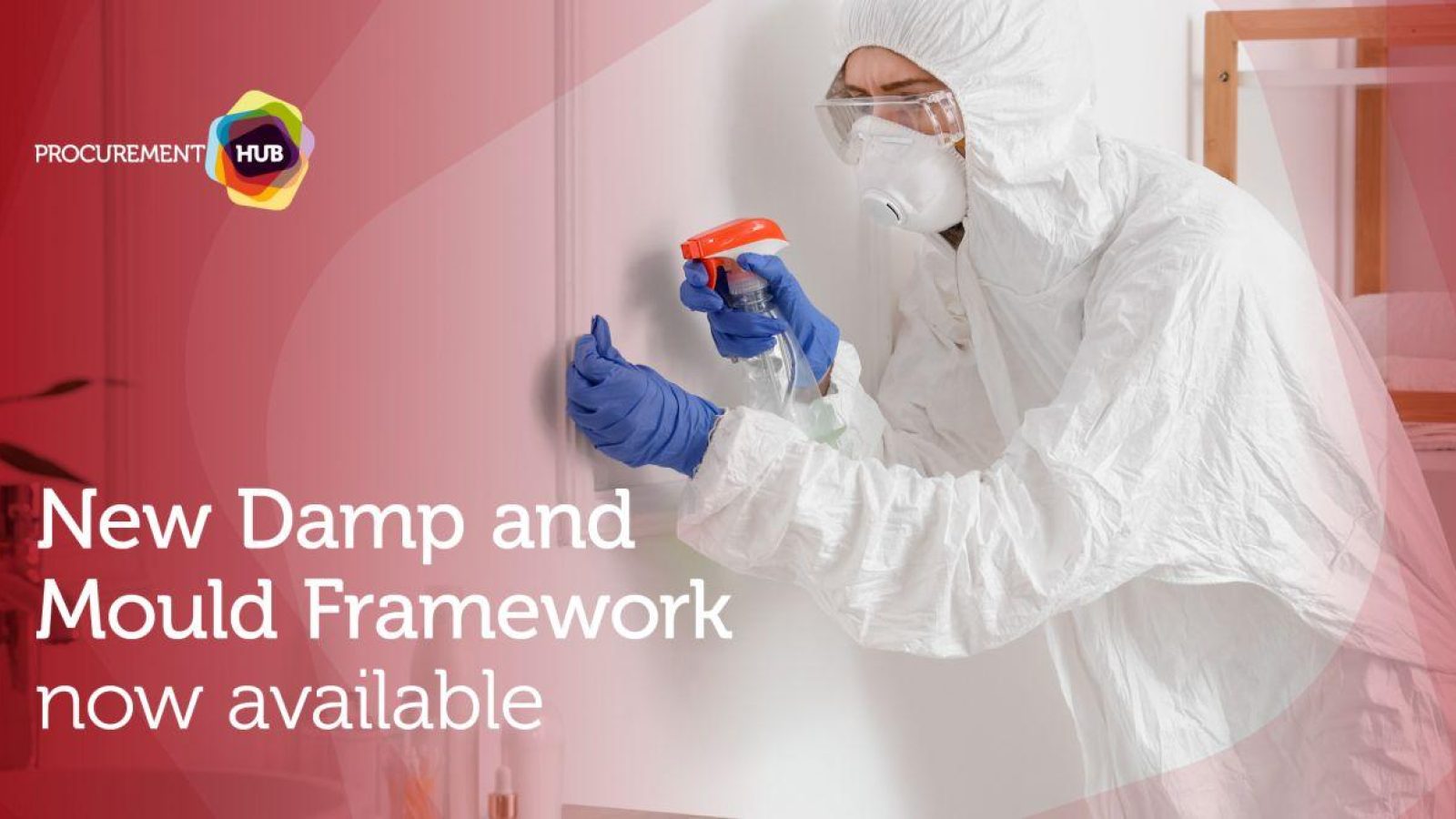 New Damp and Mould Framework launches to support safer housing