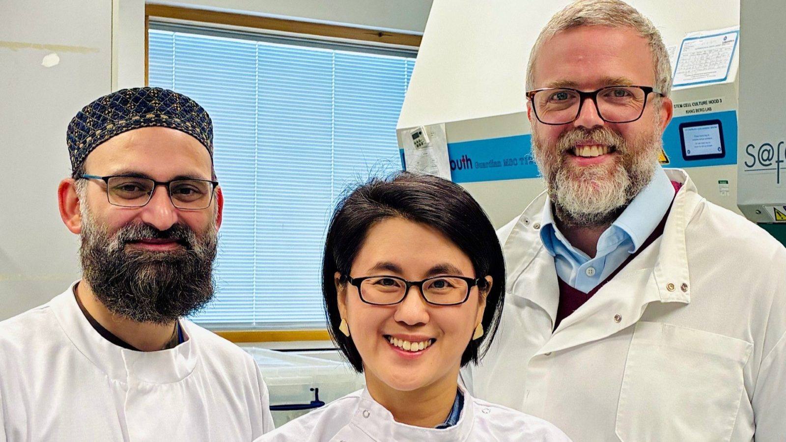 New human brain model sheds light on how inflammation may influence early brain development