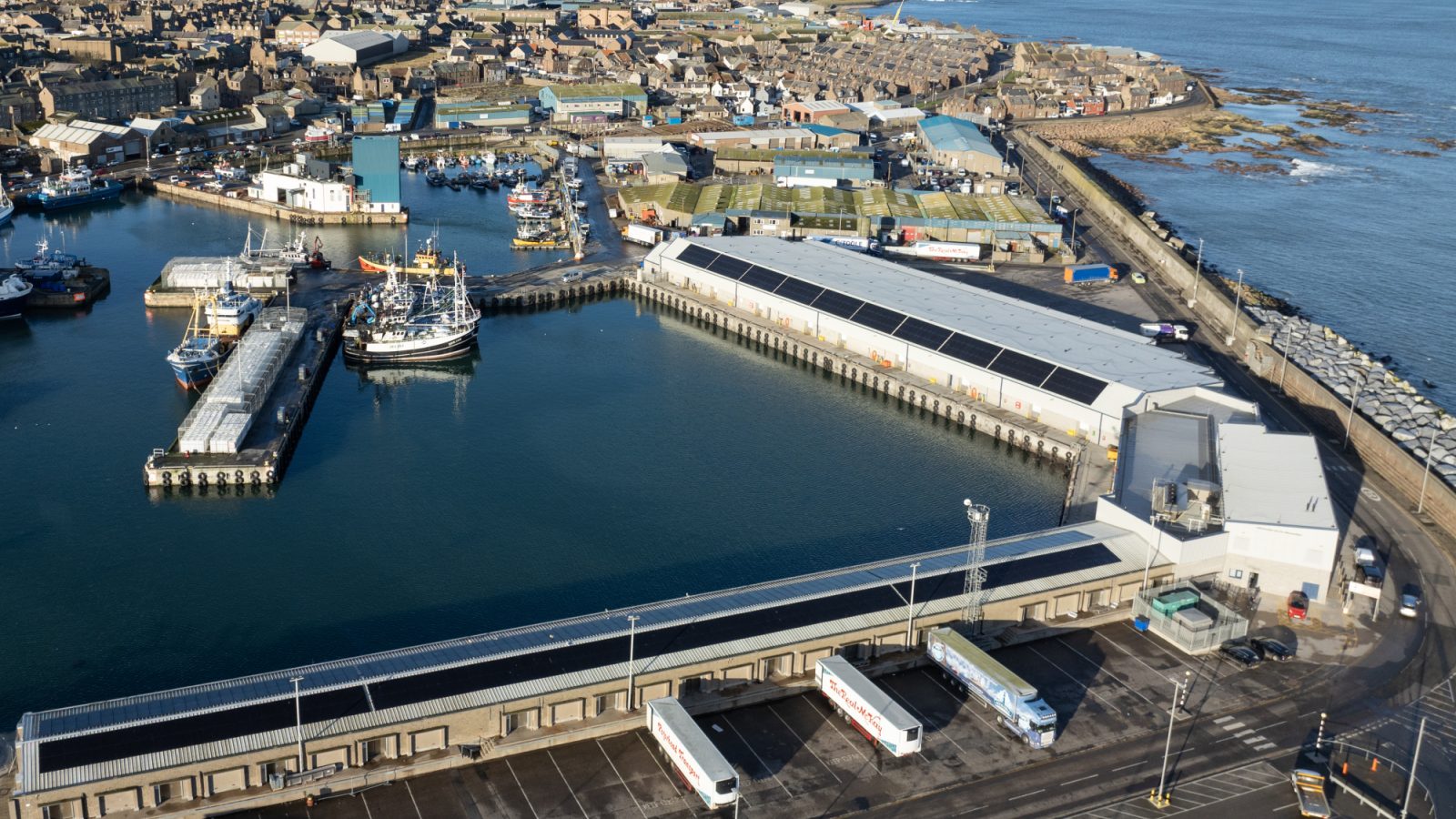Key new appointment as PPA gears up for e-auction in fish market