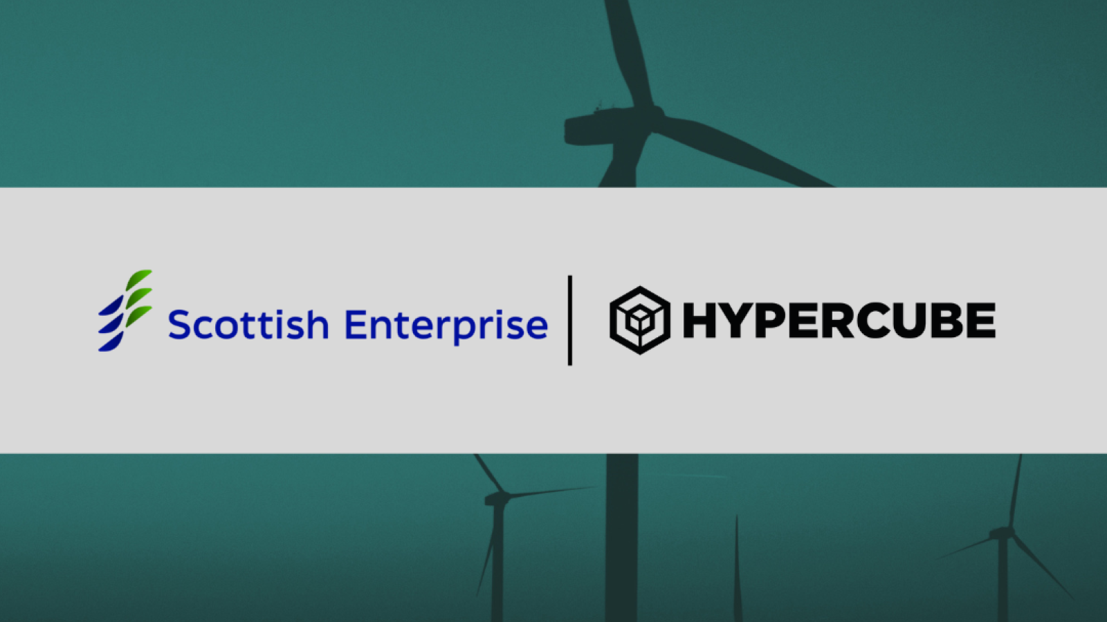 Hypercube awarded Offshore Wind Innovation funding to develop edge-based remote Marine Mammal Observation system
