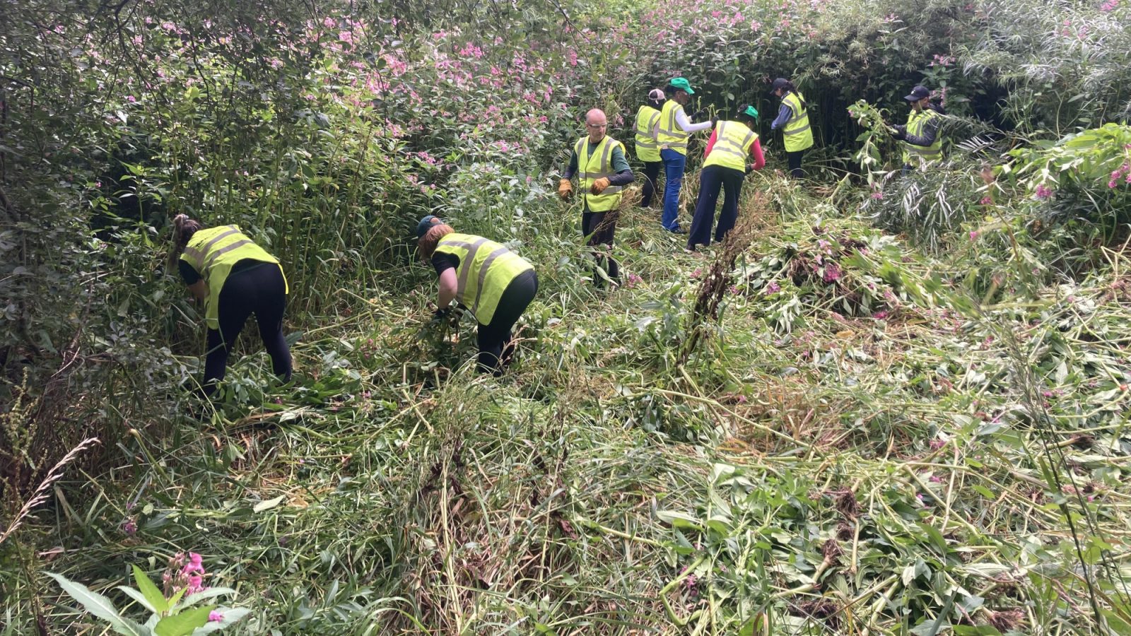 A summer of volunteering on the River Dee
