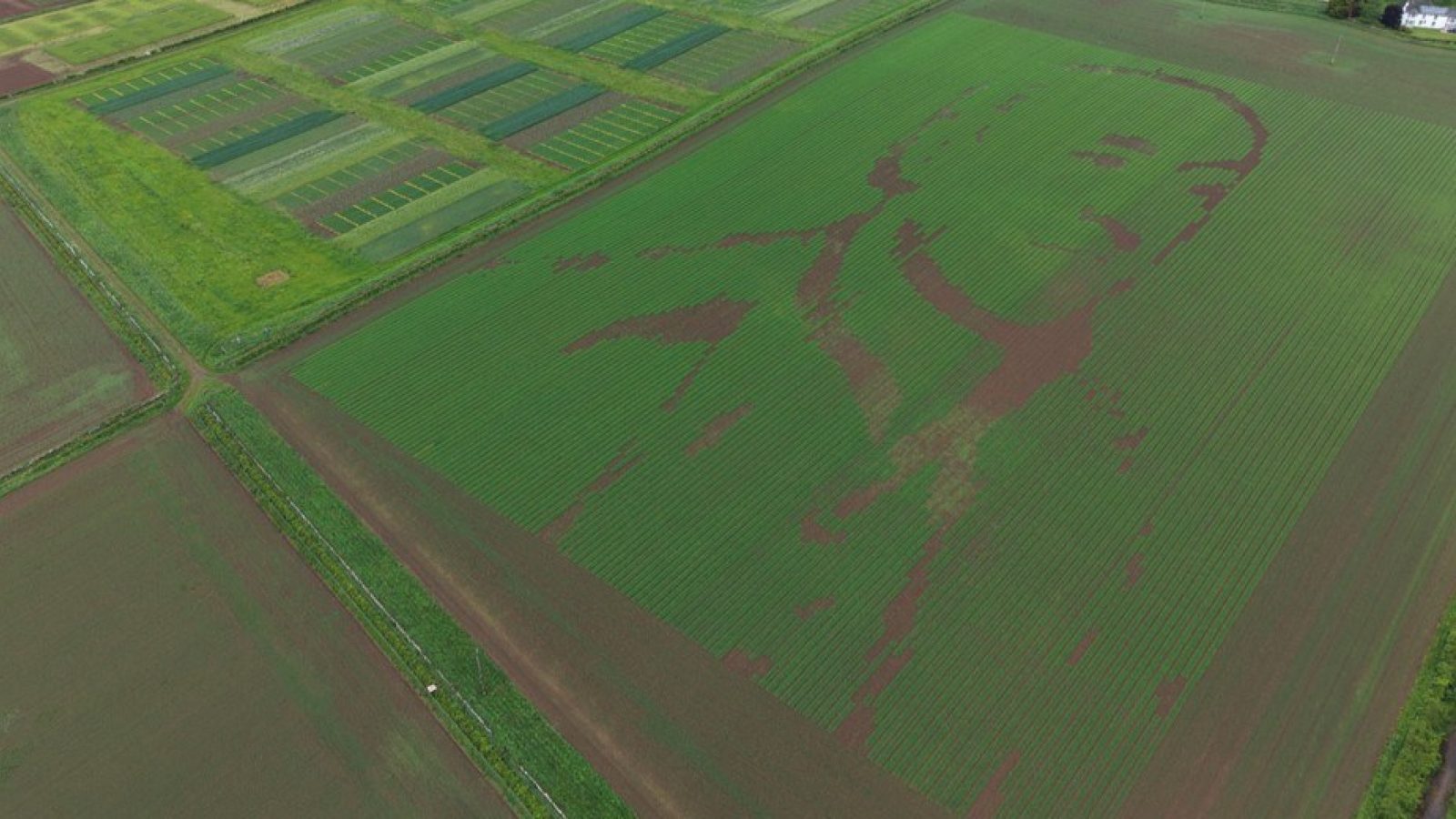 Hutton creates two field-sized portraits to mark tercentenary of namesake’s birth