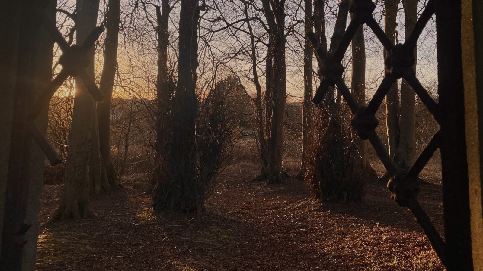 Photography competition puts Aberdeen community in the spotlight