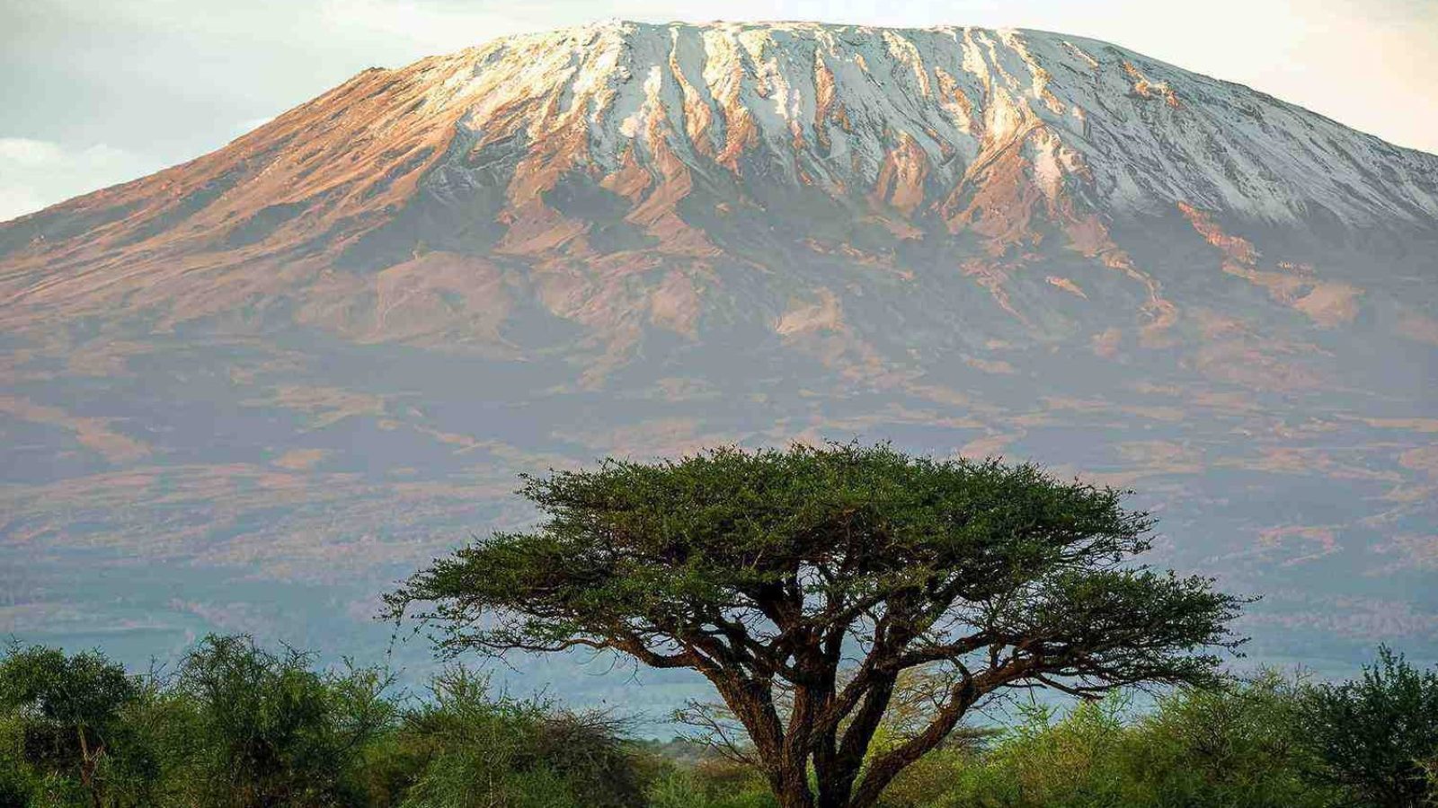 NEREC’s Ross Skene takes on Mount Kilimanjaro challenge for student mental health