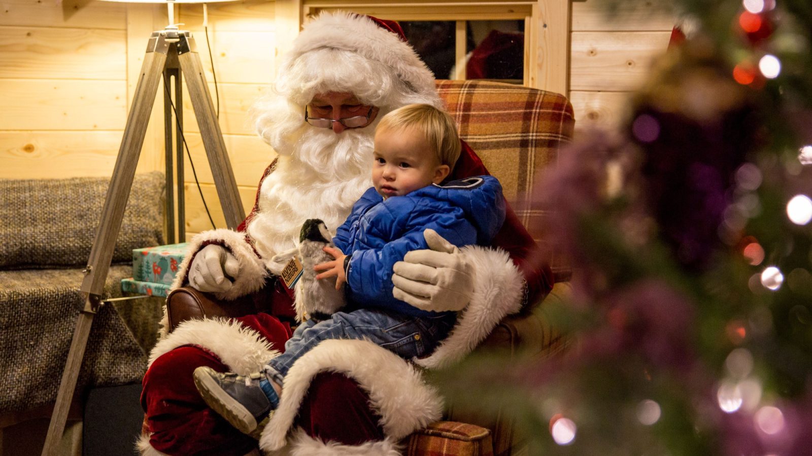 Winter wonderland Macdonald Aviemore Resort unveils festive lineup