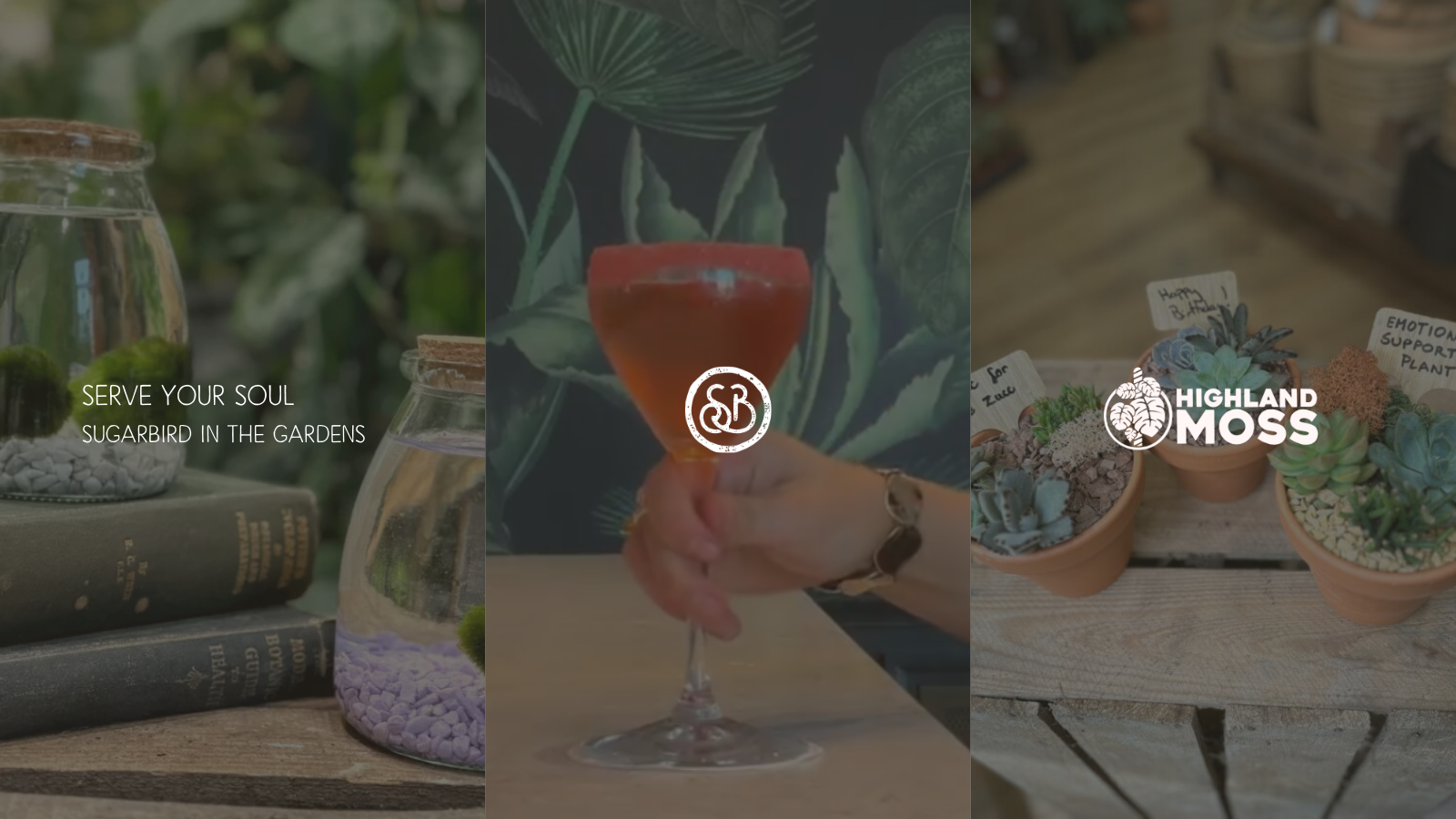 SugarBird Wines x Highland Moss