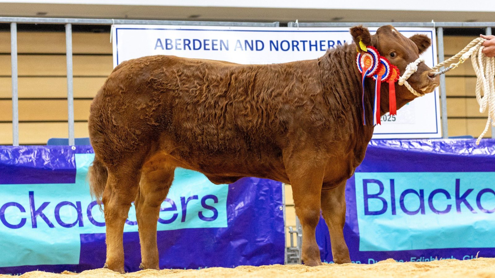 Smallburn Farms takes Spectacular championship