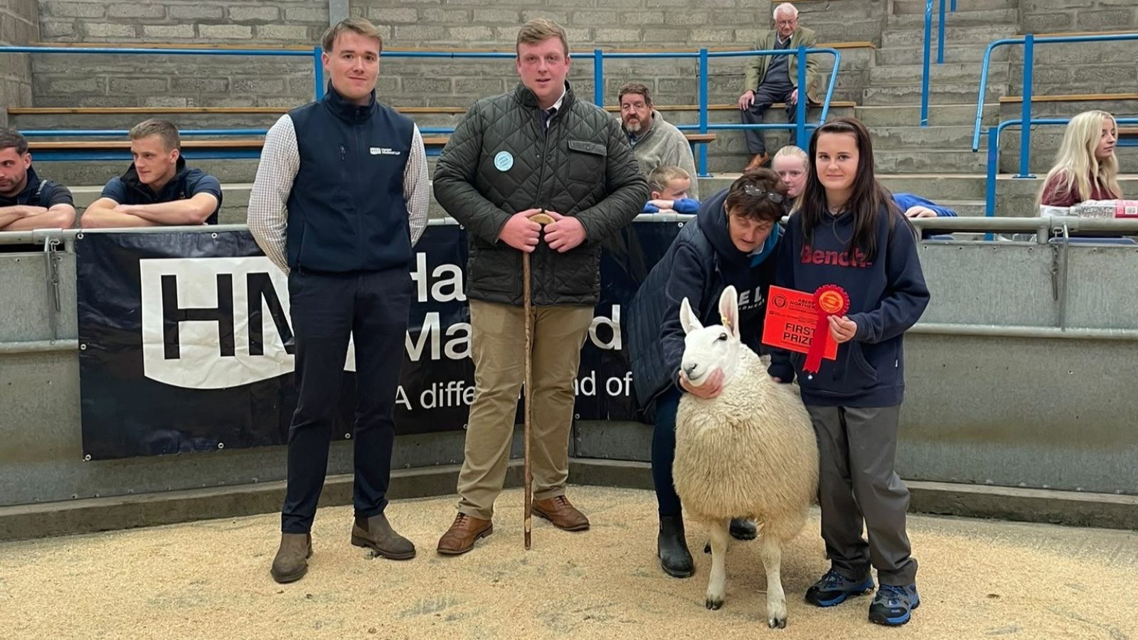 New centre record of £600 set at Quoybrae Ewe Lamb sale