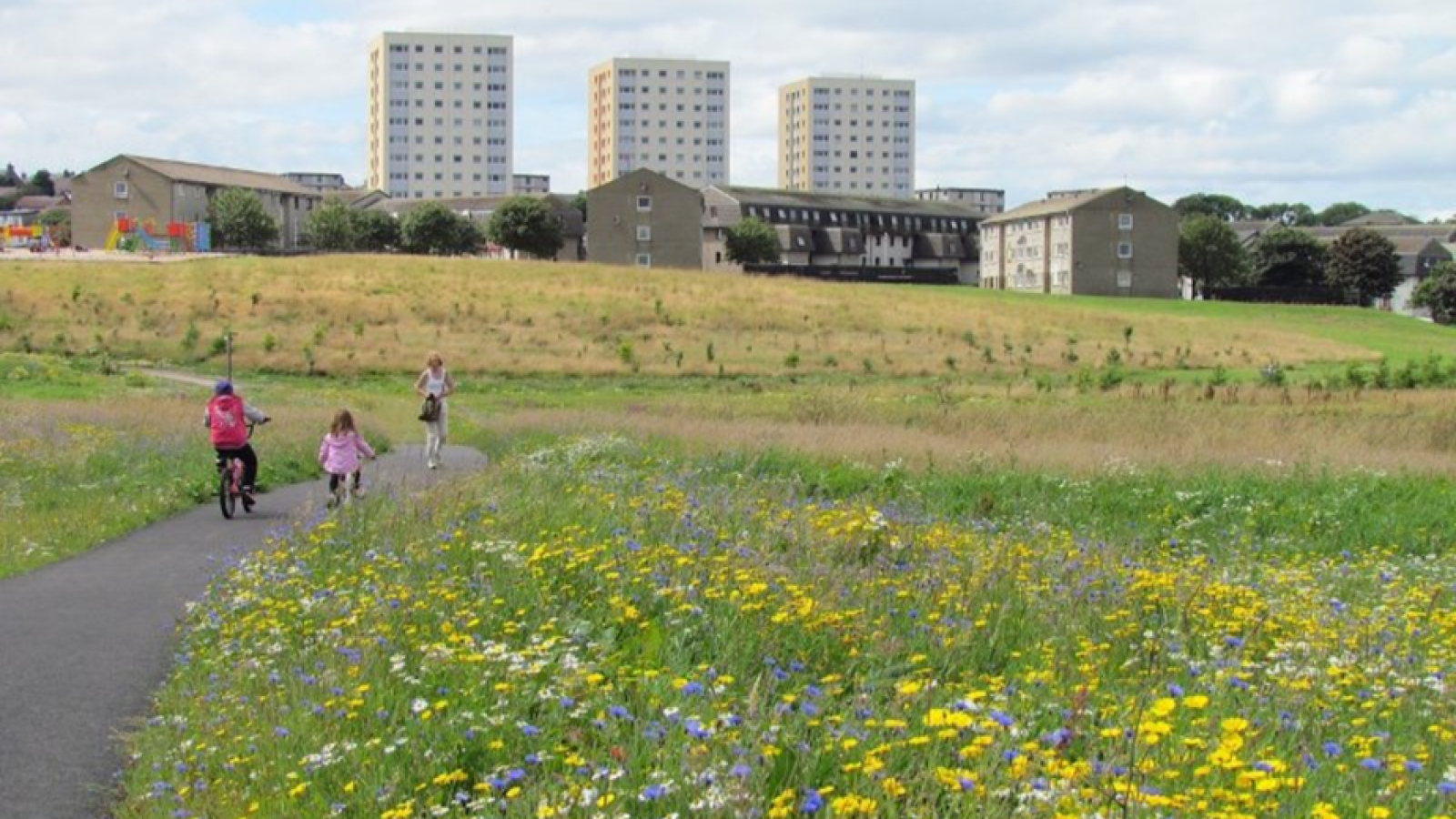 Public invited to uncover the secrets of St Fittick’s Park at Nature Open Day