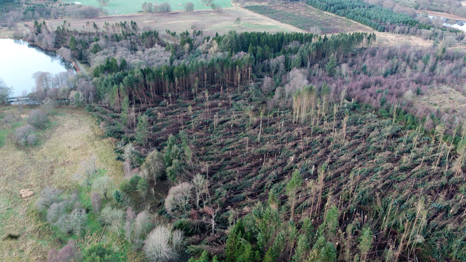 24,000 trees to be planted in Haddo Country Park