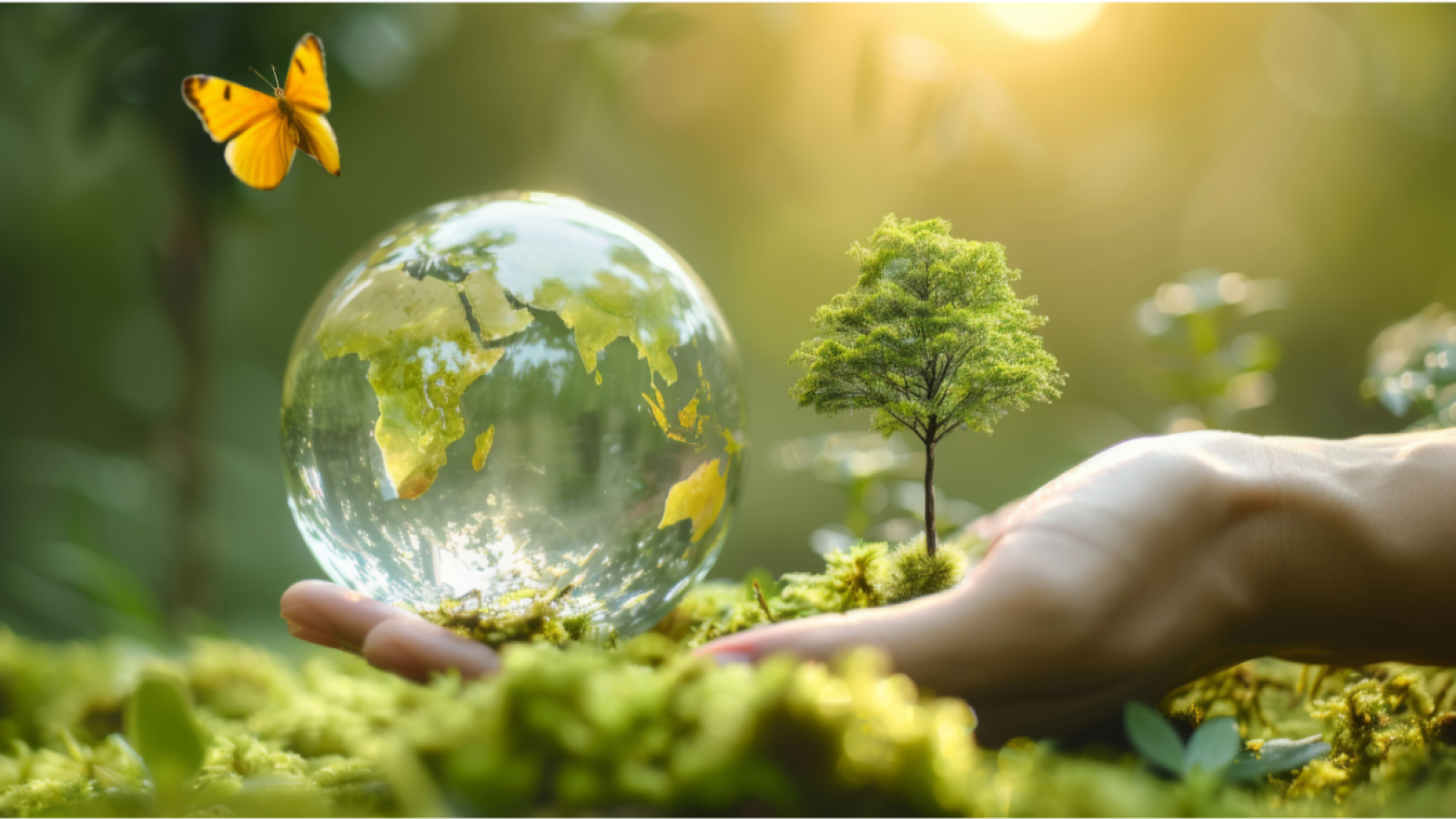 QHSE ABERDEEN receives IRCA approval to deliver ISO 14001:2026 Lead Auditor Conversion course