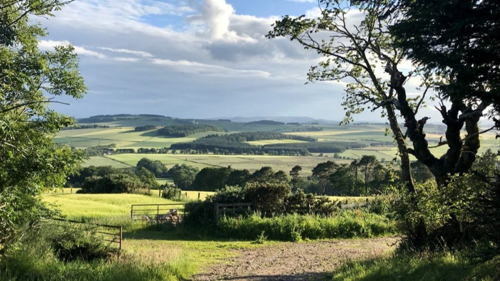 Hutton researchers produce guide for assessing the value of nature