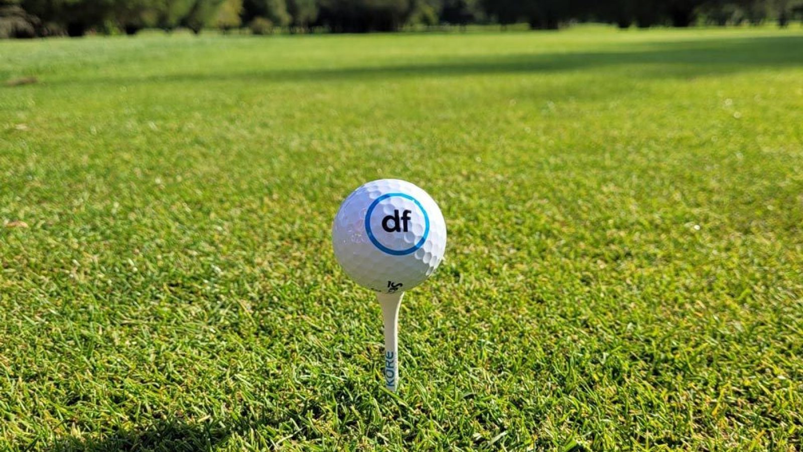 North-east businesses invited to tee off in the DFC Business Golf 2026 season