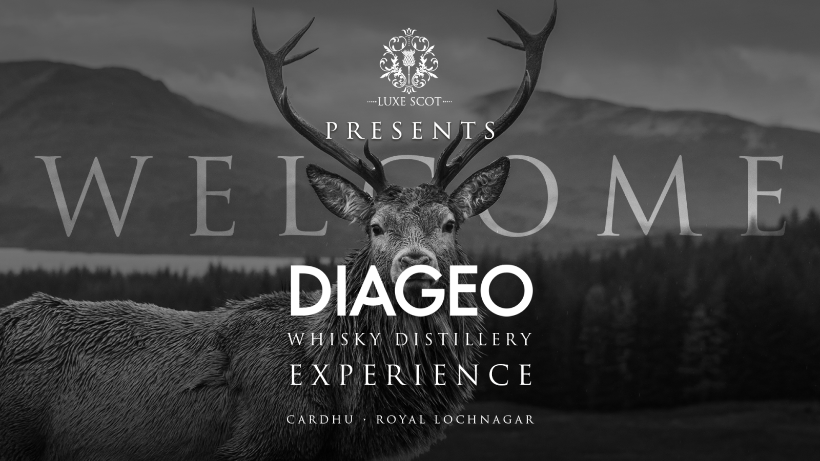 Luxe Scot and Diageo deliver an unforgettable day for Aberdeen’s business community