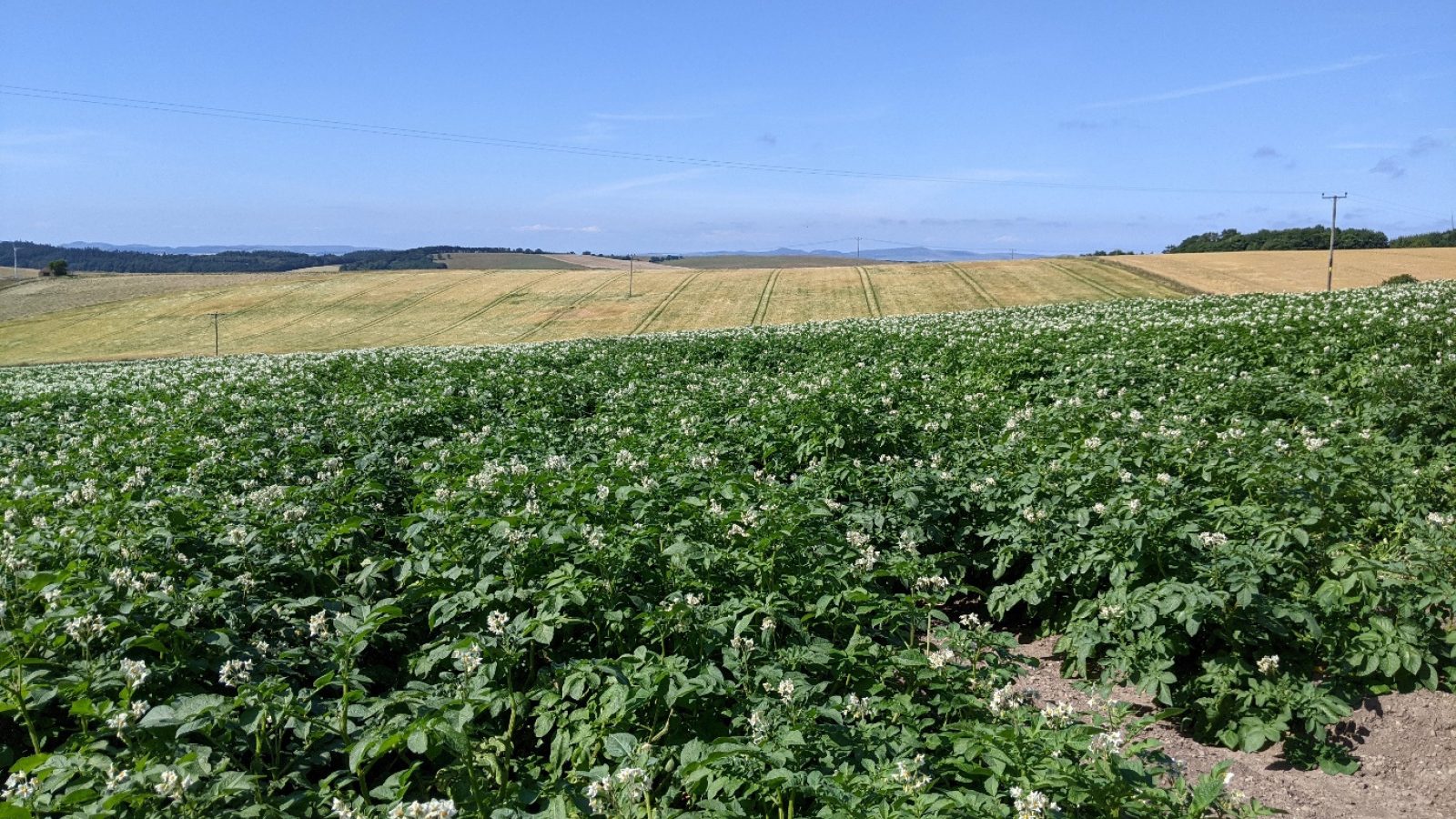 New project to cultivate agricultural knowledge