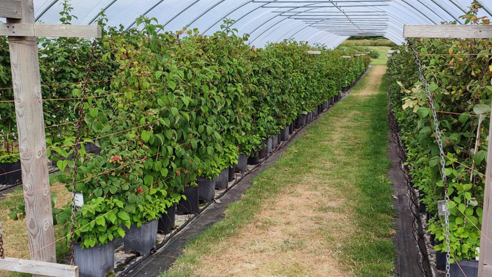 James Hutton Limited to open lab capable of analysing anaerobic digestate