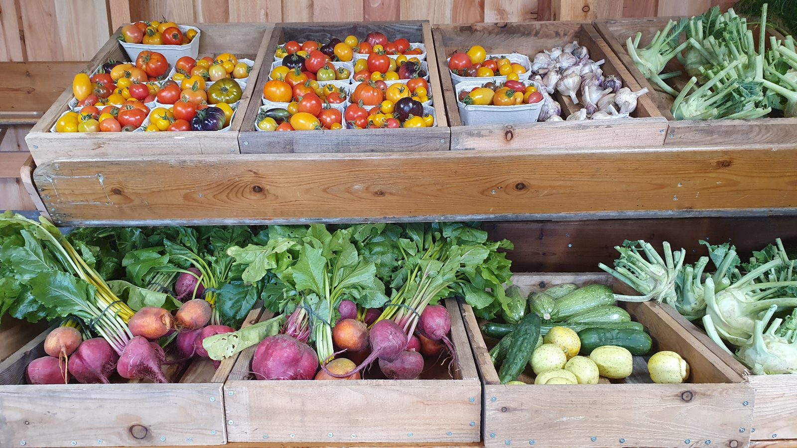 Navigating food system dilemmas: Collective action key to success