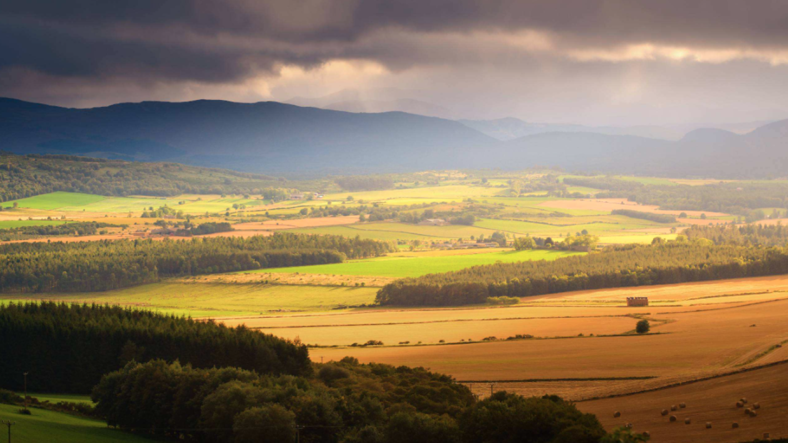 VisitAberdeenshire launches free Bookable Experiences programme for food and drink producers